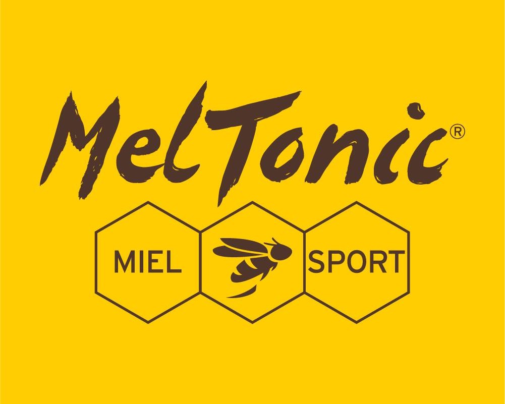 Meltonic_Logo